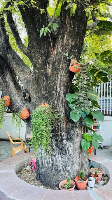 A Luxury Duplex In Dili City, Timor-Leste מראה חיצוני תמונה